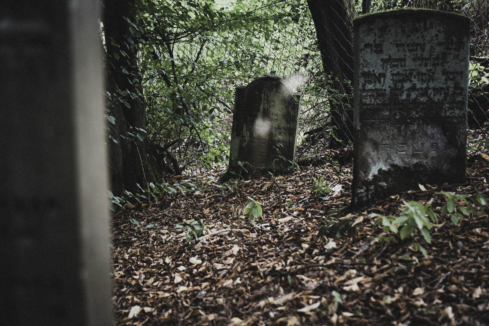 Nentershausen (Hessen), Jüdischer Friedhof